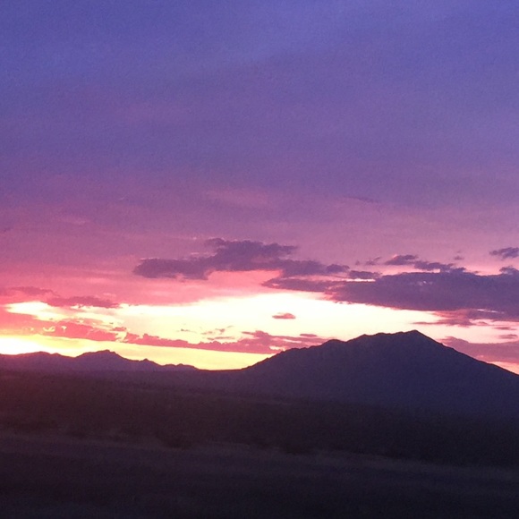 Meet your Posher, Tamara - Picture 6 of 13